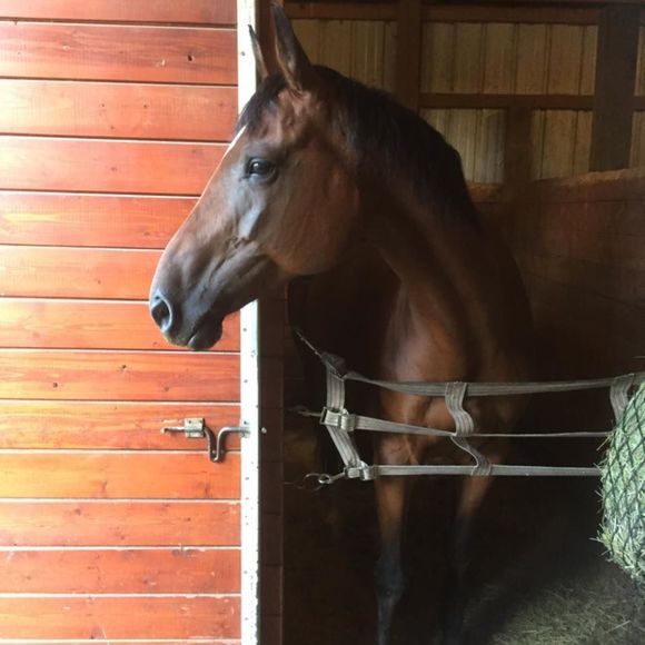 Meet your Posher, Jana - Picture 1 of 1